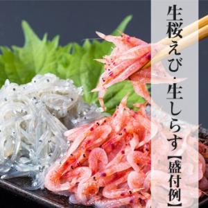 2026年春漁新物 生桜えび200g×2、生し...の詳細画像4