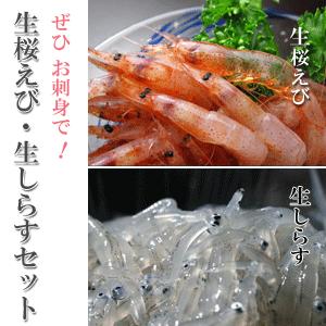 生桜えび60g×2、生しらす100g×2、セット　由比港水揚げ 駿河湾桜えび 静岡県産を安心して