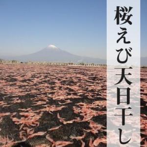 乾燥桜えび30g 3袋|お届け方法「メール便」...の詳細画像4