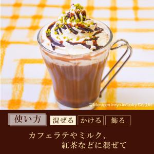 ハーダース カフェ用フレーバーソース チョコレ...の詳細画像5