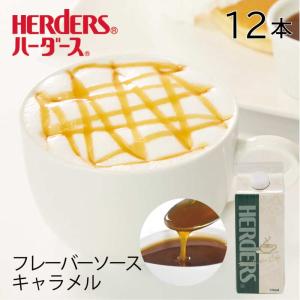 ハーダース カフェ用フレーバーソース キャラメル 【業務用 500ml×12本】 キャラメルラテ キャラメルコーヒー 業務用 珈琲シロップ フレーバーコーヒー｜丸源のこだわり飲料常温品取扱店