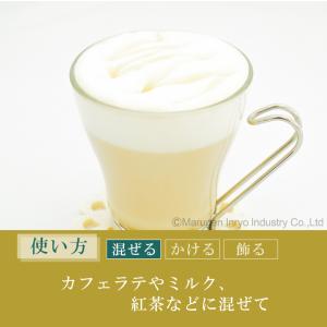 ハーダース カフェ用フレーバーソース ジンジャ...の詳細画像5