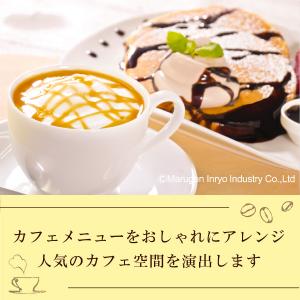 ハーダース カフェ用フレーバーソース バナナ ...の詳細画像4