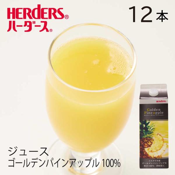 ハーダース ゴールデンパインアップル100%ジュース 業務用 1000ml×12本 パイン パイナッ...