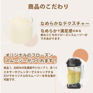 フローズンスムージー クリエーターNF 業務用...の詳細画像4