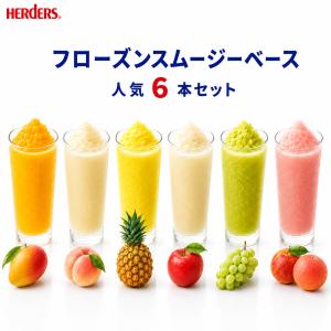 フローズンスムージーベース人気6本セット 業務用...の商品画像