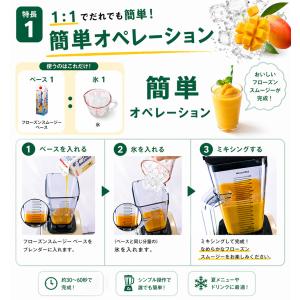 フローズンスムージーベース人気6本セット 業務...の詳細画像2