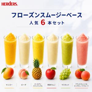 フローズンスムージーベース人気6本セット 業務...の詳細画像1