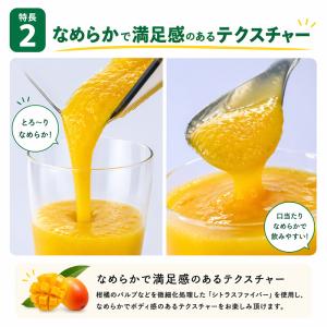 フローズンスムージーベース人気6本セット 業務...の詳細画像3