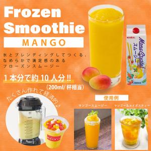 フローズンスムージーベース人気6本セット 業務...の詳細画像4
