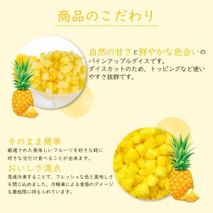 冷凍フルーツ ハーダース IQFカットフルーツ...の詳細画像3