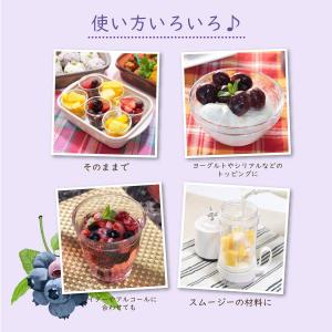 冷凍フルーツ ハーダース IQFフルーツ ブル...の詳細画像4