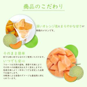 冷凍フルーツ ハーダース IQFカットフルーツ...の詳細画像3