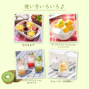冷凍フルーツ ハーダース IQFカットフルーツ...の詳細画像4