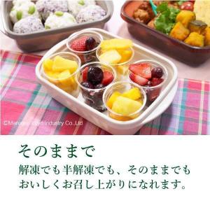 冷凍フルーツ ハーダース IQFカットフルーツ...の詳細画像5