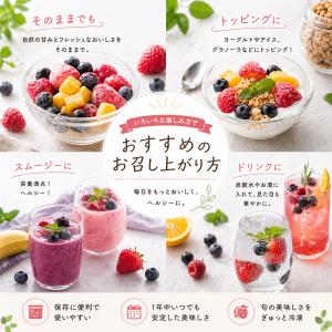 冷凍フルーツ ハーダース IQFカットフルーツ...の詳細画像5