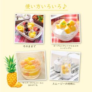 冷凍フルーツ ハーダース IQFカットフルーツ...の詳細画像4
