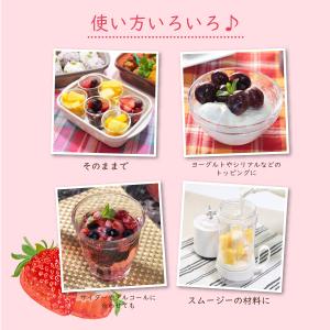 冷凍フルーツ ハーダース IQFフルーツ スト...の詳細画像4