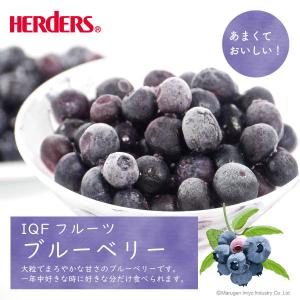 冷凍フルーツ ハーダース IQFフルーツ ブル...の詳細画像1