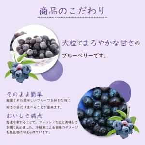 冷凍フルーツ ハーダース IQFフルーツ ブル...の詳細画像3