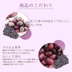 【賞味期限2027年6月30日】冷凍フルーツ ...の詳細画像3
