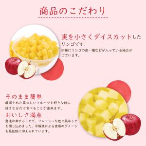 冷凍フルーツ ハーダース IQFカットフルーツ...の詳細画像3