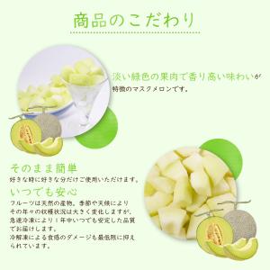 冷凍フルーツ ハーダース IQFカットフルーツ...の詳細画像3