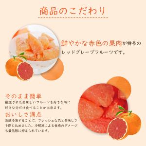 冷凍フルーツ ハーダース IQFカットフルーツ...の詳細画像2