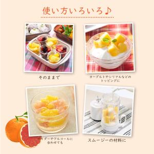 冷凍フルーツ ハーダース IQFカットフルーツ...の詳細画像3
