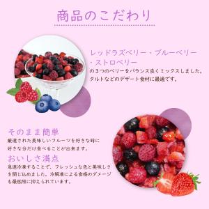 冷凍フルーツ ハーダース IQFフルーツ トリ...の詳細画像3