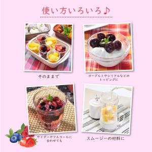 冷凍フルーツ ハーダース IQFフルーツ トリ...の詳細画像4