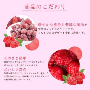 冷凍フルーツ ハーダース IQFフルーツ レッ...の詳細画像3