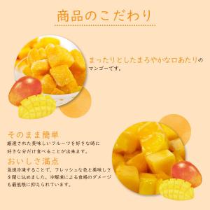 冷凍フルーツ ハーダース IQFカットフルーツ...の詳細画像2