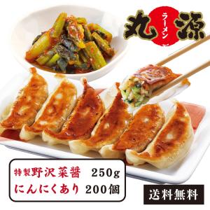 餃子 ぎょうざ お取り寄せ 野沢菜醤1個+丸源餃子200個 冷凍餃子 生餃子 ギフト 送料無料 大容量｜marugenraumen