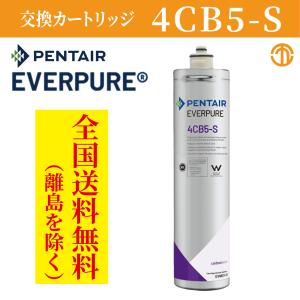 【全国送料無料(※1)】業務用浄水器　エバーピュア　交換用カートリッジ　4CB5-S（ QL3-4CB5-S 用）PENTAIR EVERPURE 浄水器 カートリッジ 交換用