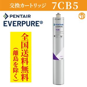 Pentair Everpure 4CB5-S カートリッジ 2本セット Amazon | エバーピュア浄水器フィルタカートリッジ 4CB5-S