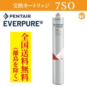 全国送料無料 業務用浄軟水器 エバーピュア 交換用カートリッジ