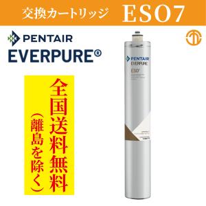 エバーピュア 7CB5-S 浄水器カートリッジ 業務用 : 厨房