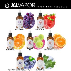 [XLVAPOR] VAPE リキッド メンソ...の詳細画像4
