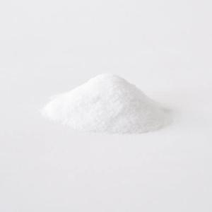 ポリアクリル酸ナトリウム 粉末 (1kg)の詳細画像1