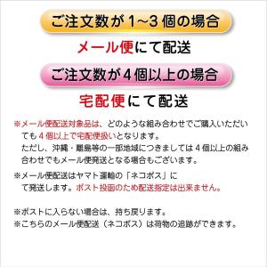 ポリアクリル酸ナトリウム 100g 業務用 ロ...の詳細画像2