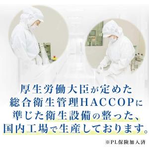 甘味料製剤 スクラロース200 50gの詳細画像4