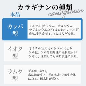 精製カラギナン 1kgx10の詳細画像4