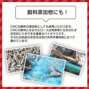 CMC(カルボキシメチルセルロースナトリウム)...の詳細画像4