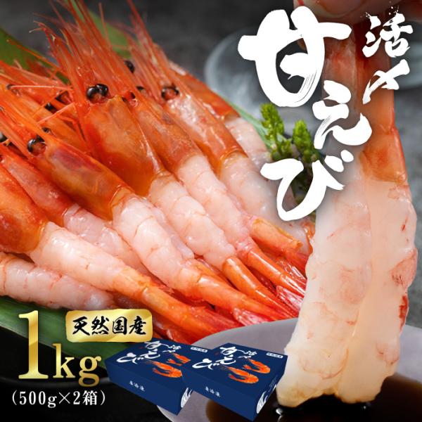 甘えび  甘海老 天然甘エビ 刺身 生食可 福井県産 純国産 無添加 冷凍甘エビ 1kg 500g×...