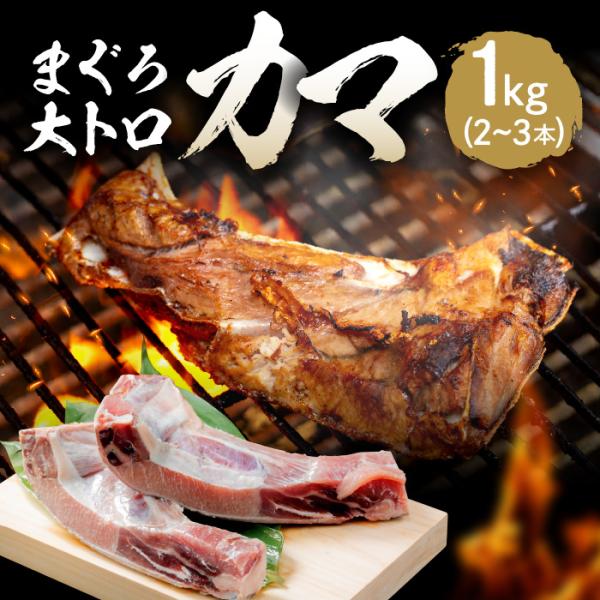 マグロカマ 本まぐろ 大トロカマ 冷凍まぐろカマ 純国産天然本鮪 カマ 1kg 2〜3本 プレゼント...