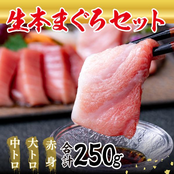 マグロ 本まぐろ 生まぐろ 国産生本マグロ 刺し身 冷蔵 大トロ 中トロ 赤身 食べ比べ 250g ...