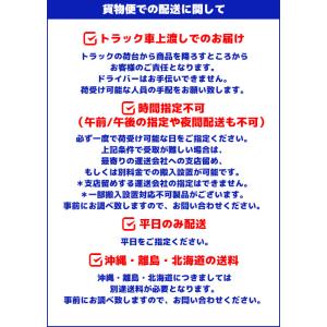 テンポスバスターズ 冷凍ストッカー(チェストタ...の詳細画像2