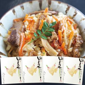 【新しょうが】根根菜菜シリーズ炊き込みご飯の素 2合 4個セット｜maruhachi-ystore