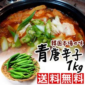 青唐辛子 苗 の商品一覧 花 ガーデニング 通販 Yahoo ショッピング